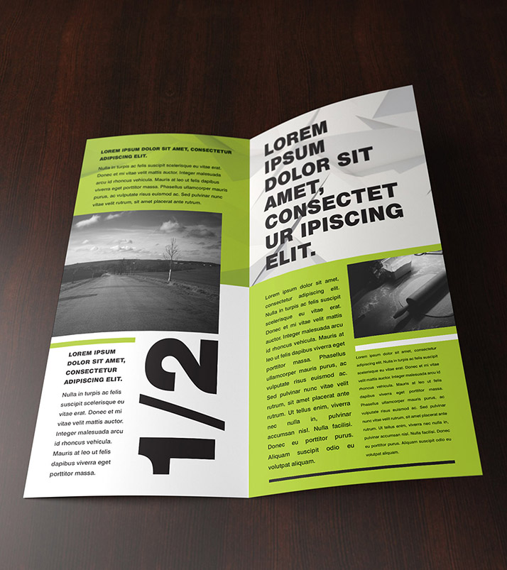 Free double DL leaflet mockup