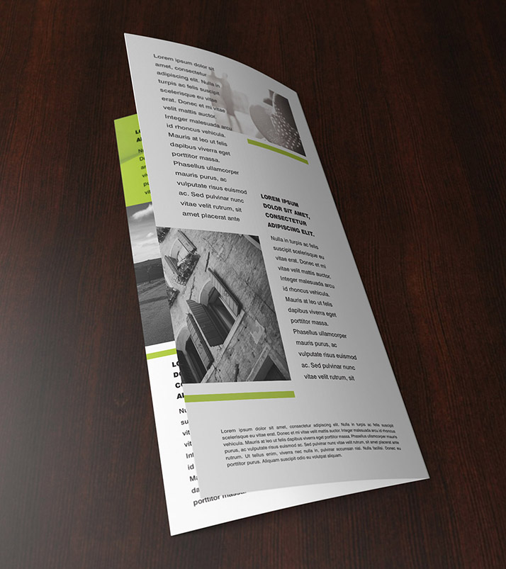 Free double DL leaflet mockup