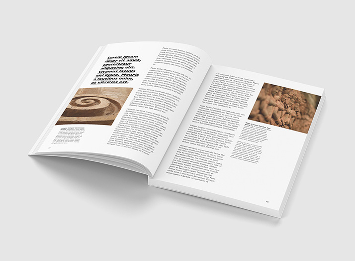 Free book mockup