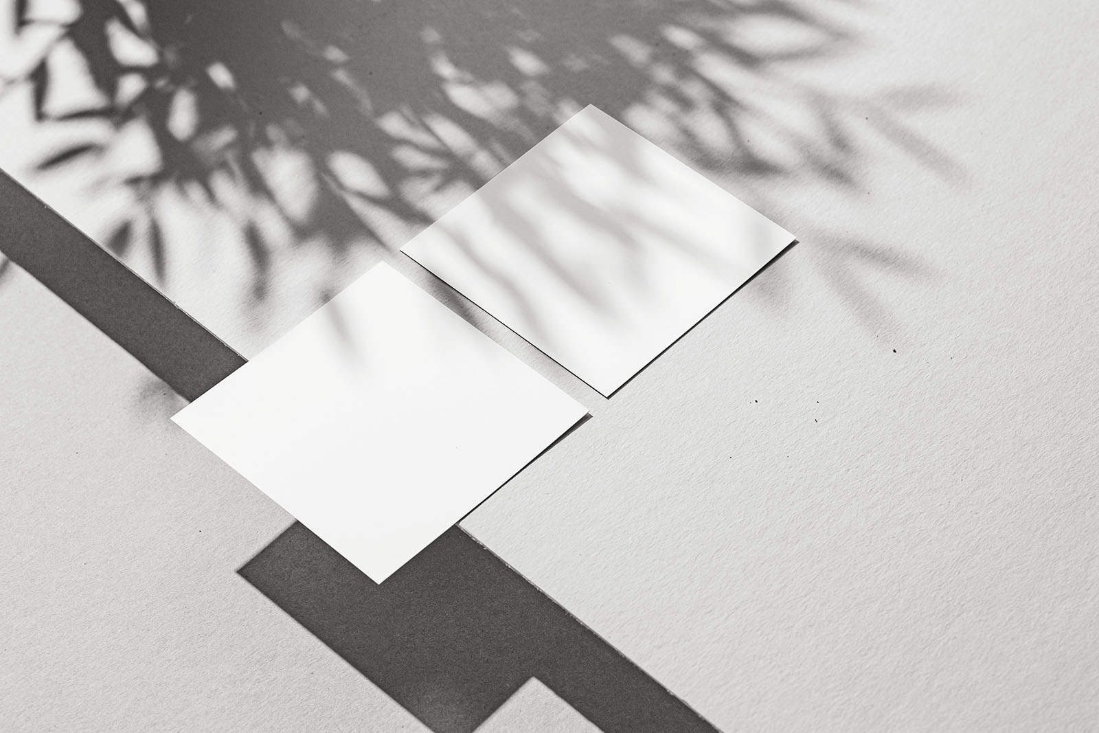 Square flyers and the strong shadows mockup