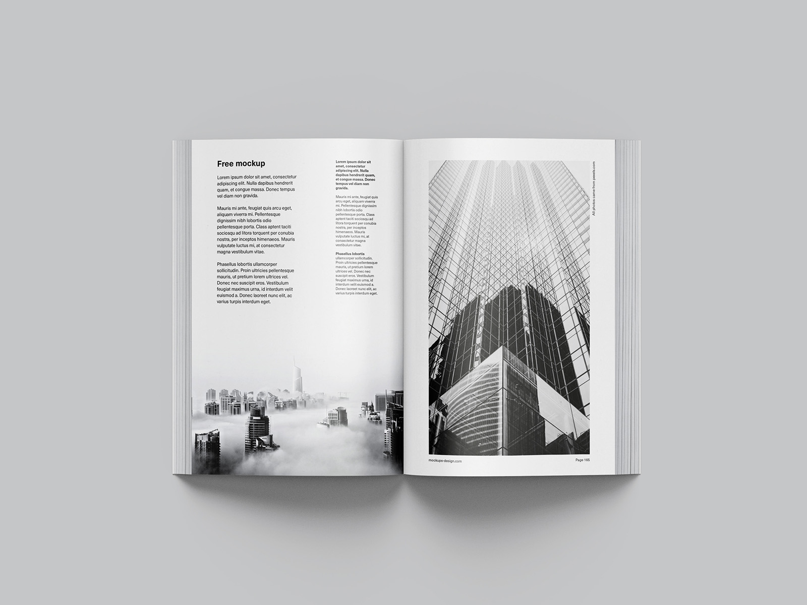 Free octavo book mockup