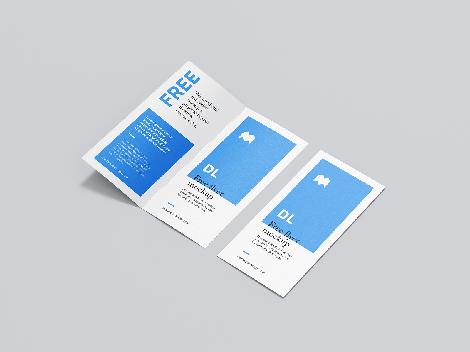 Free DL bi-fold flyer mockup
