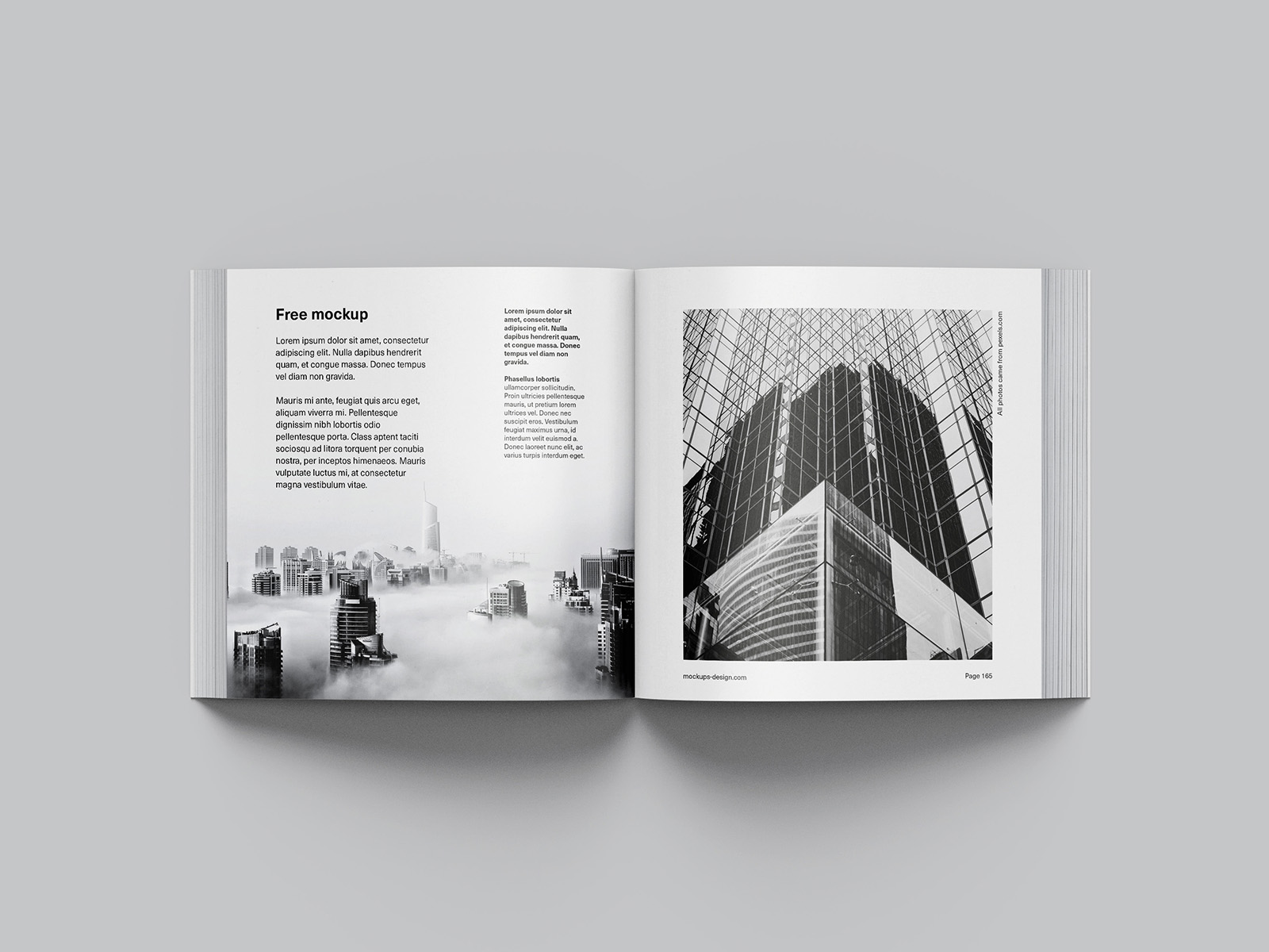 Free book mockup in square format