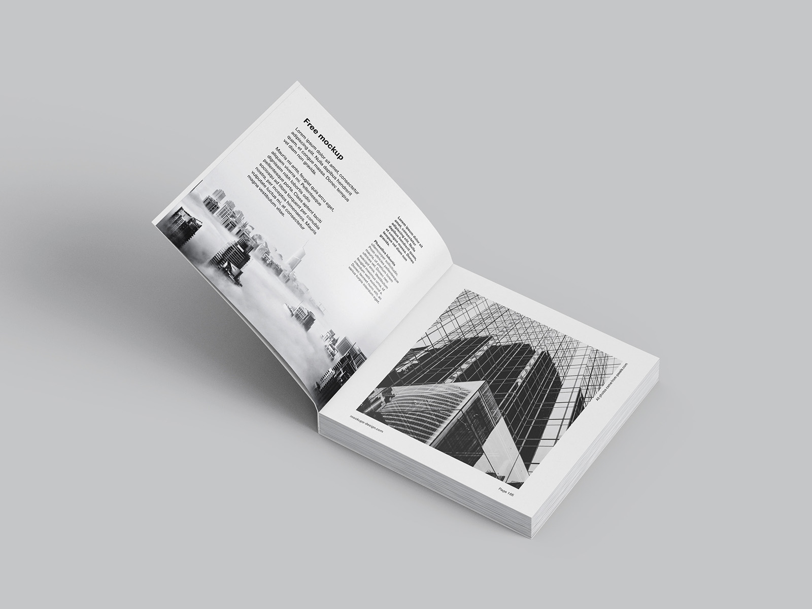 Free book mockup in square format