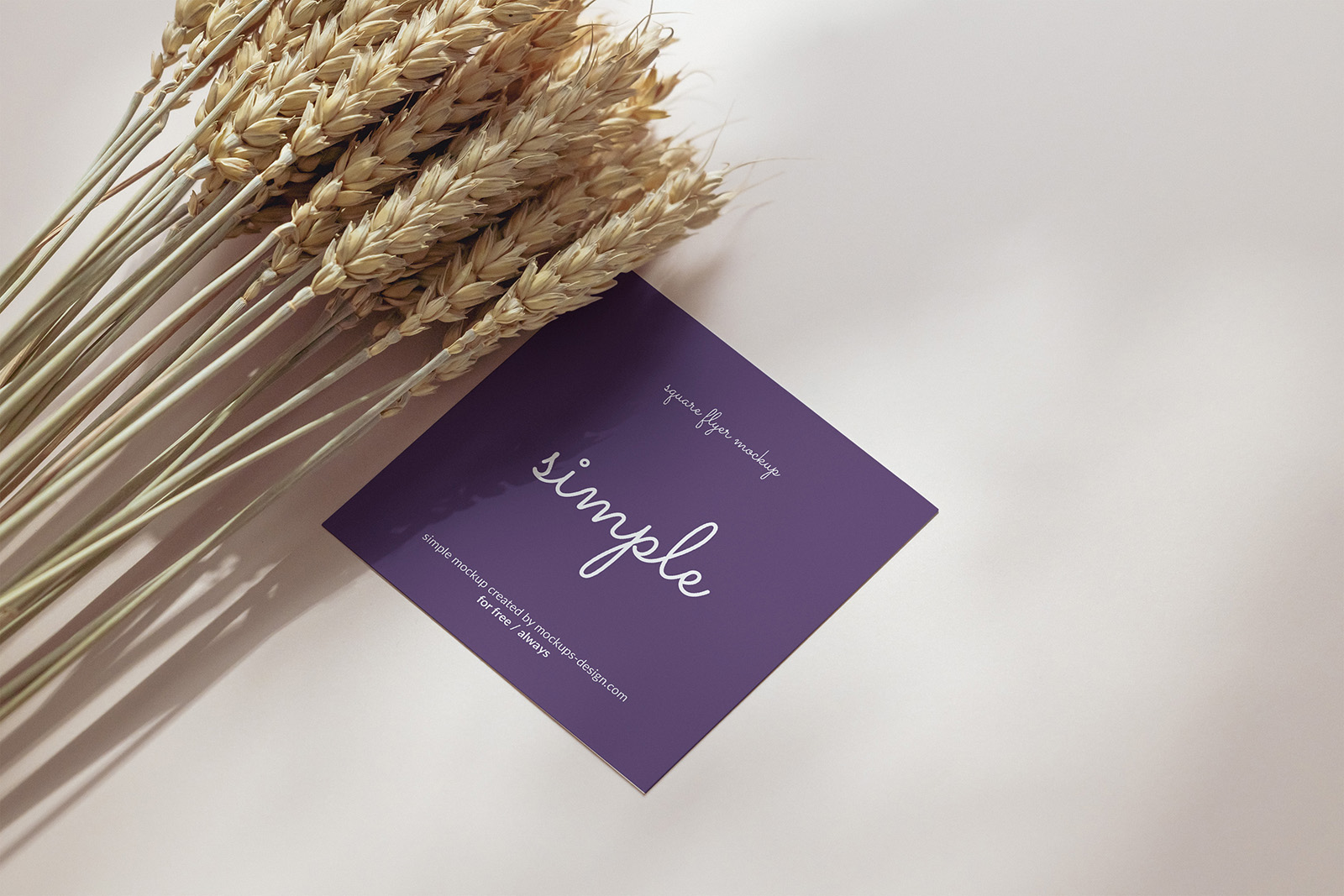 Square flyer with dried wheat mockup