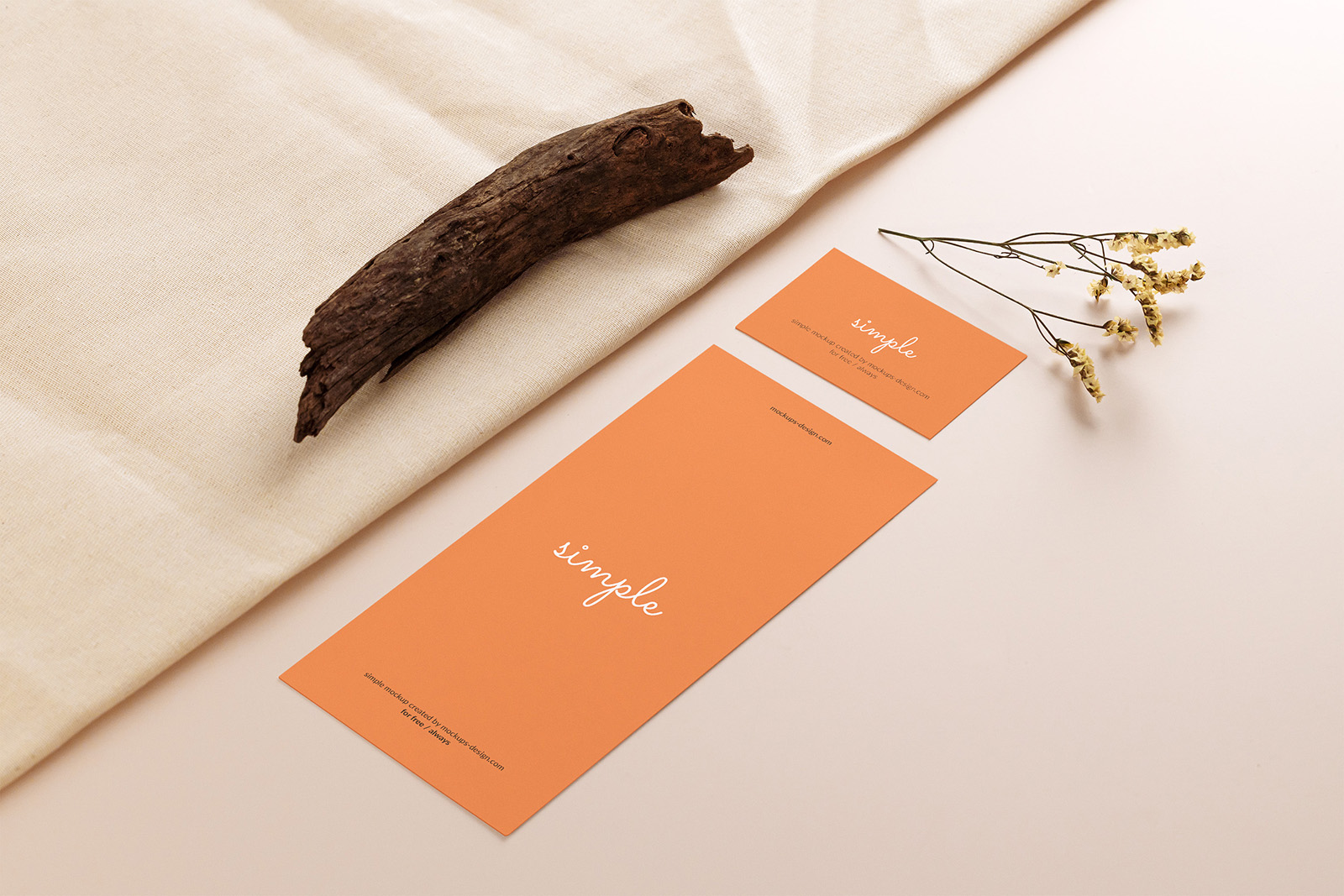 DL Flyer with Business Card