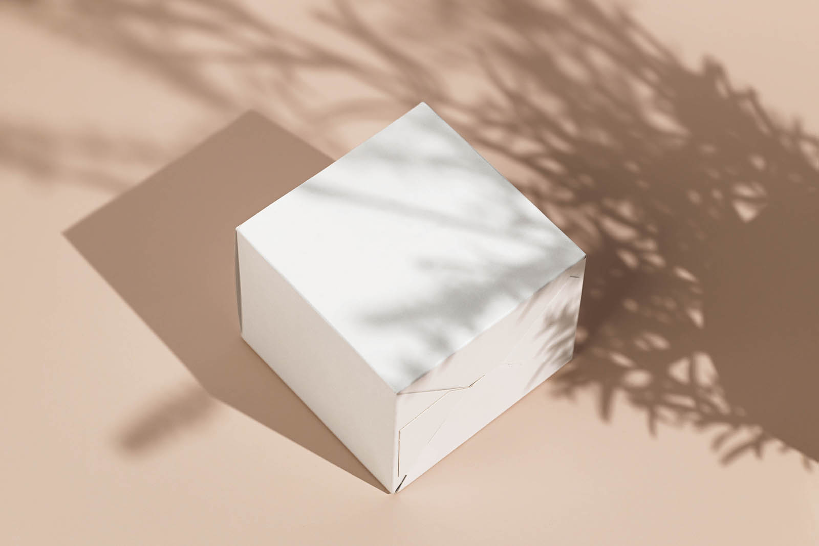 Free lying box mockup