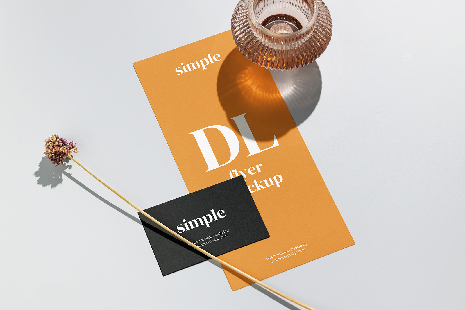 Business card with DL flyer mockup