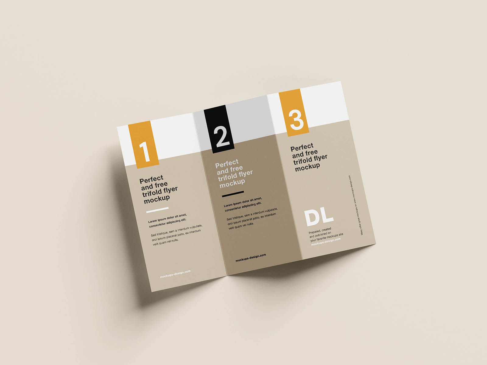 Clean tri-fold DL flyer mockup