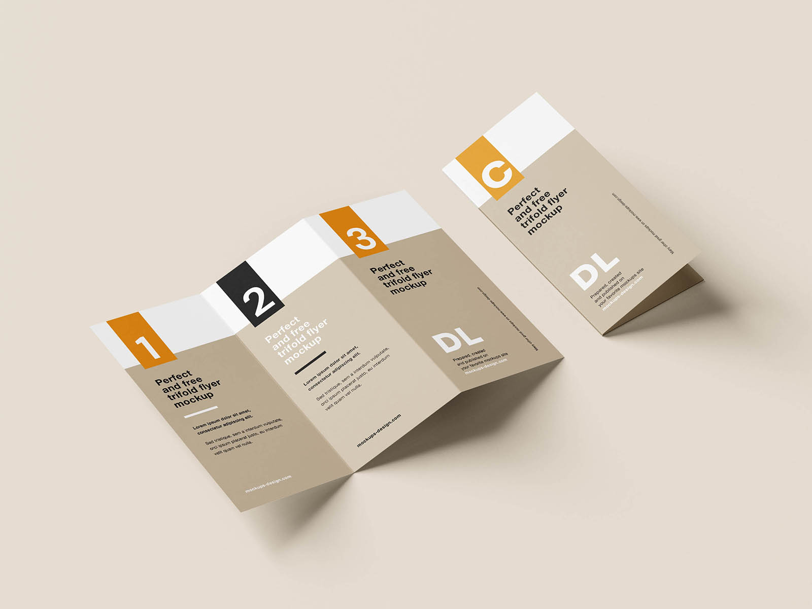 Clean tri-fold DL flyer mockup