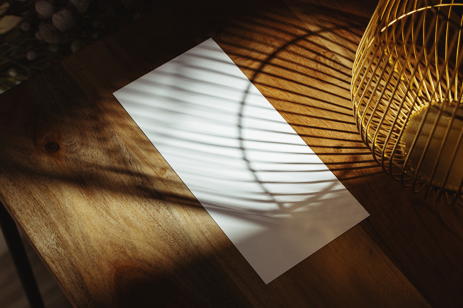 DL flyer in shadow mockup