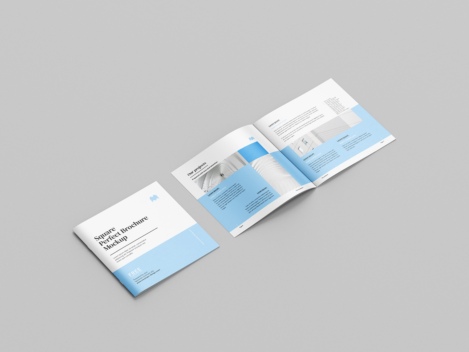 Thin square brochure mockup