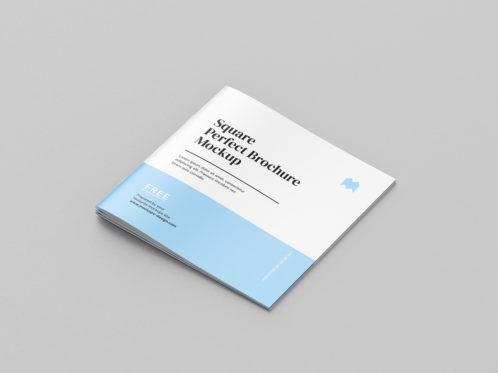 Thin square brochure mockup