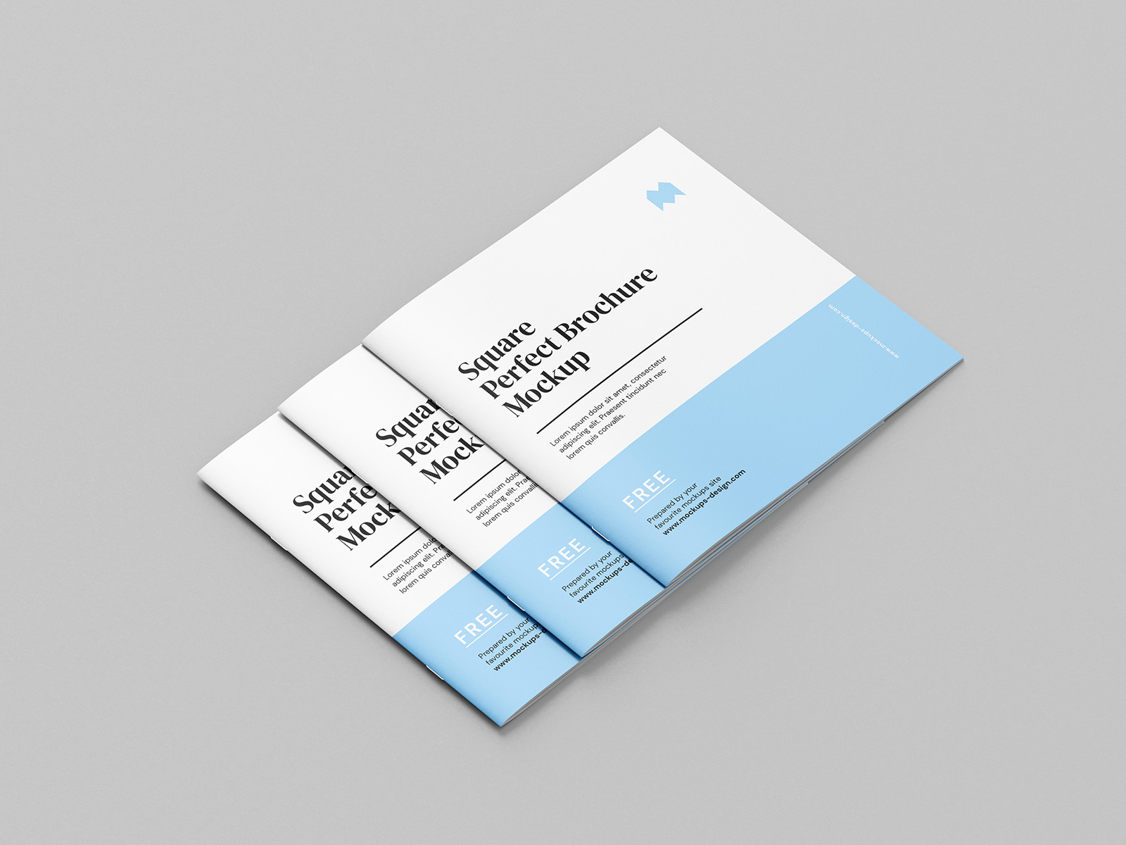 Thin square brochure mockup