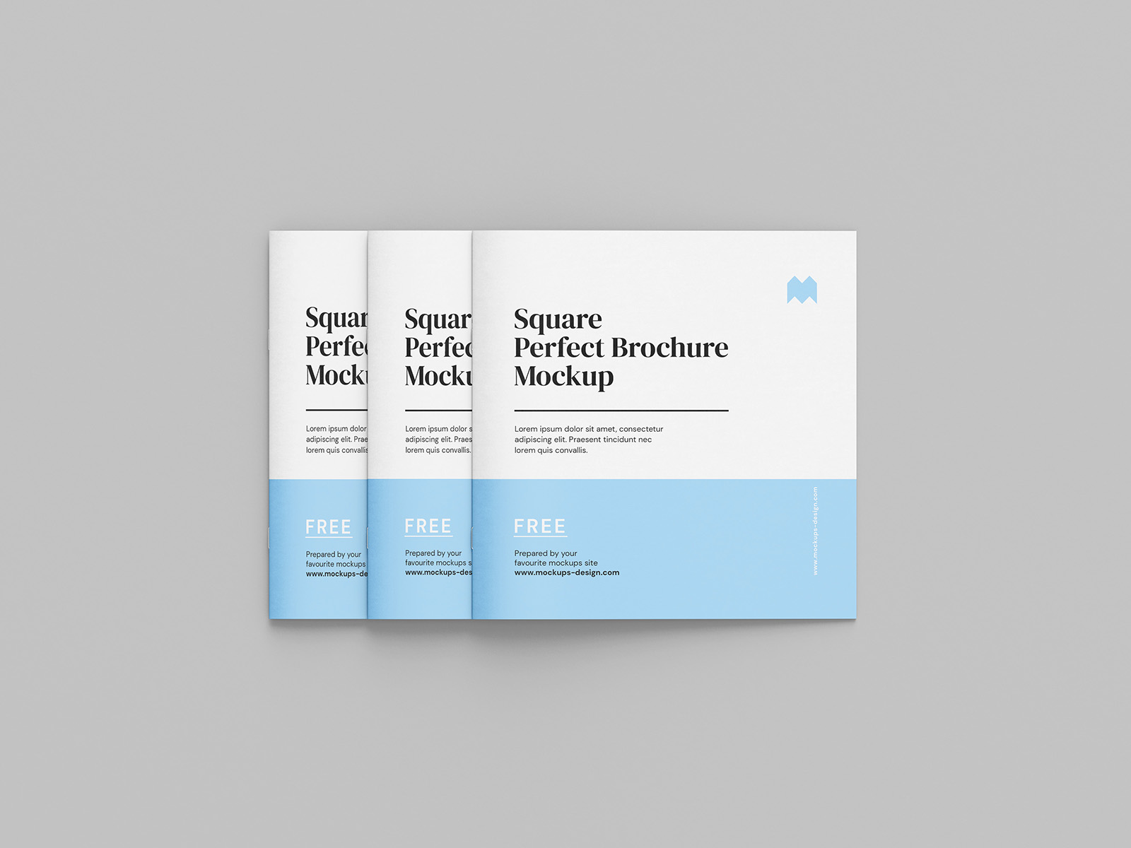 Thin square brochure mockup